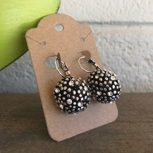 Sophisticated Lever Back Earrings